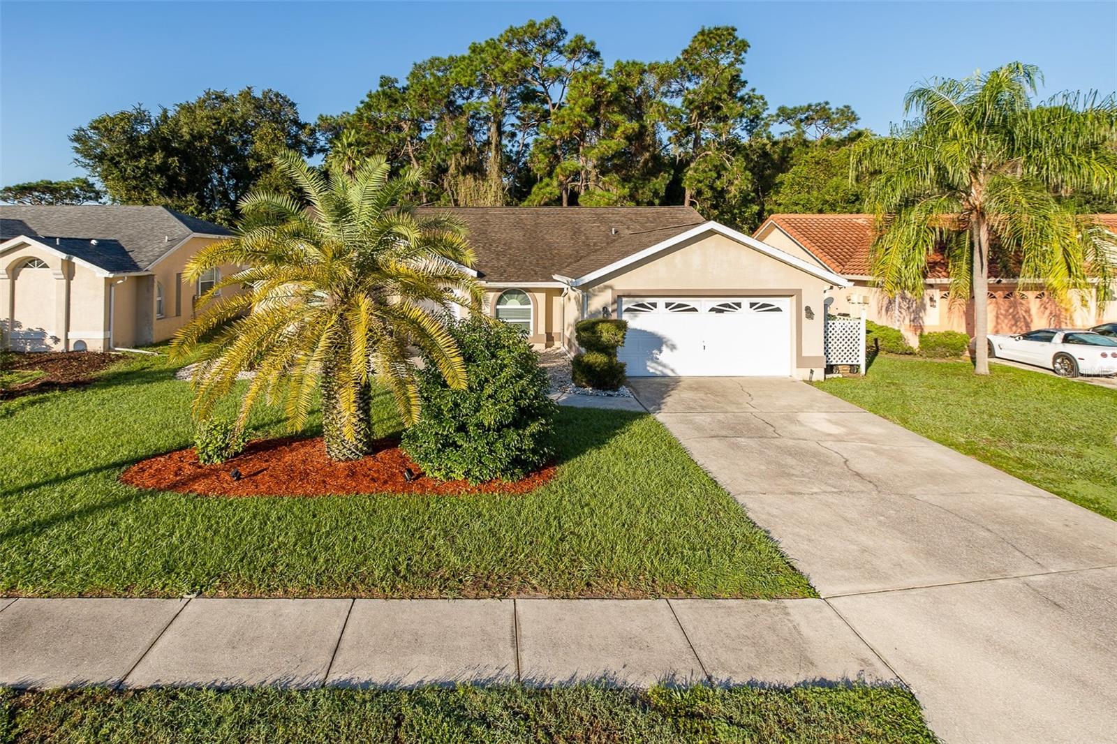 5343 SAGAMORE CT