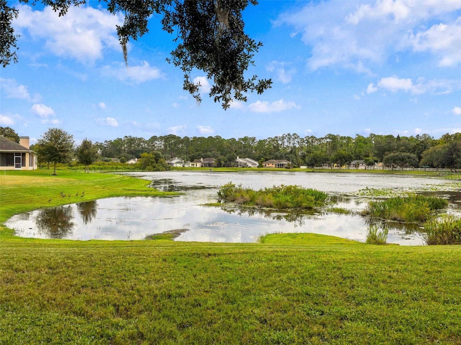 19621 LAKE OSCEOLA LN