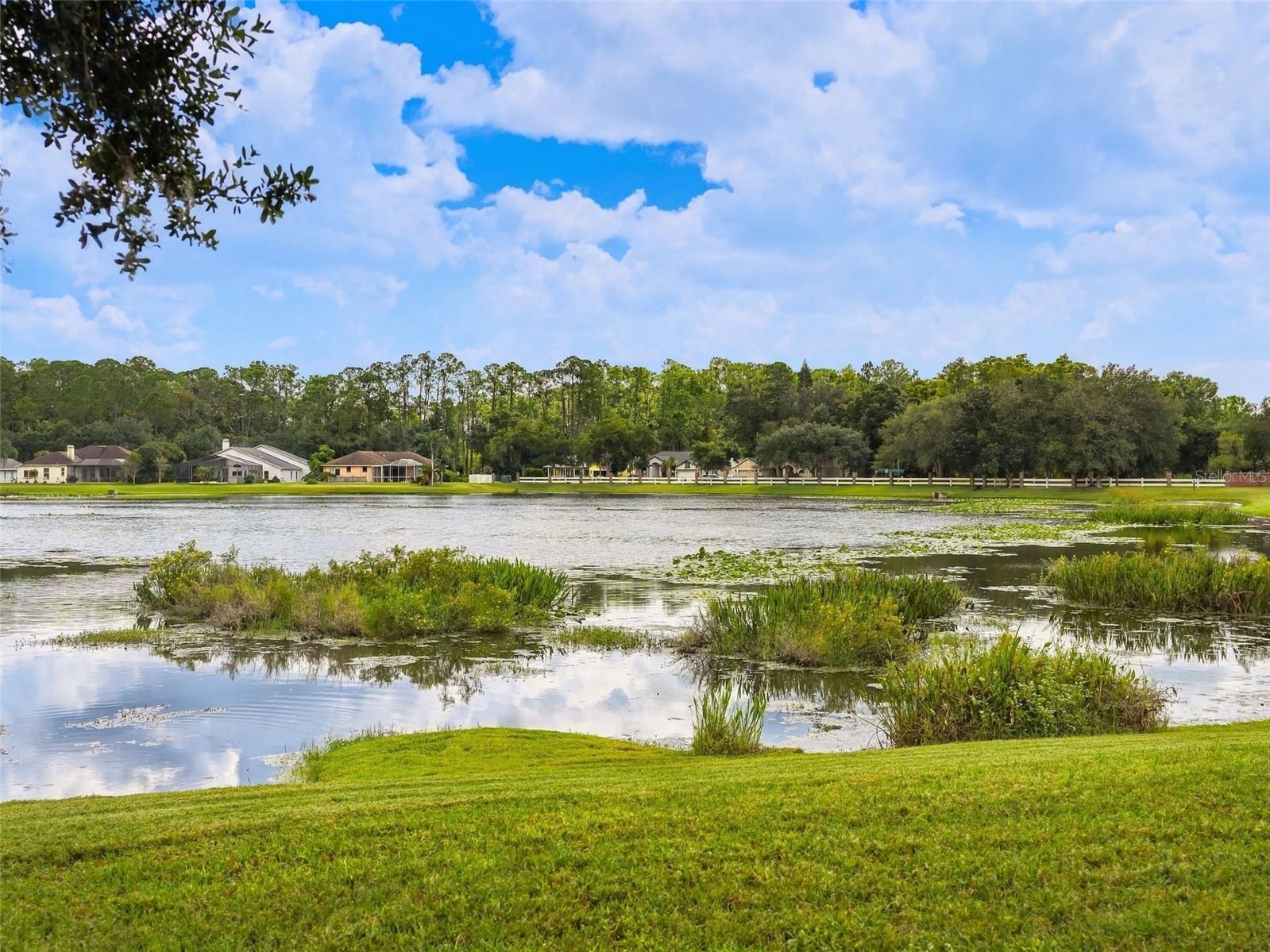 19621 LAKE OSCEOLA LN