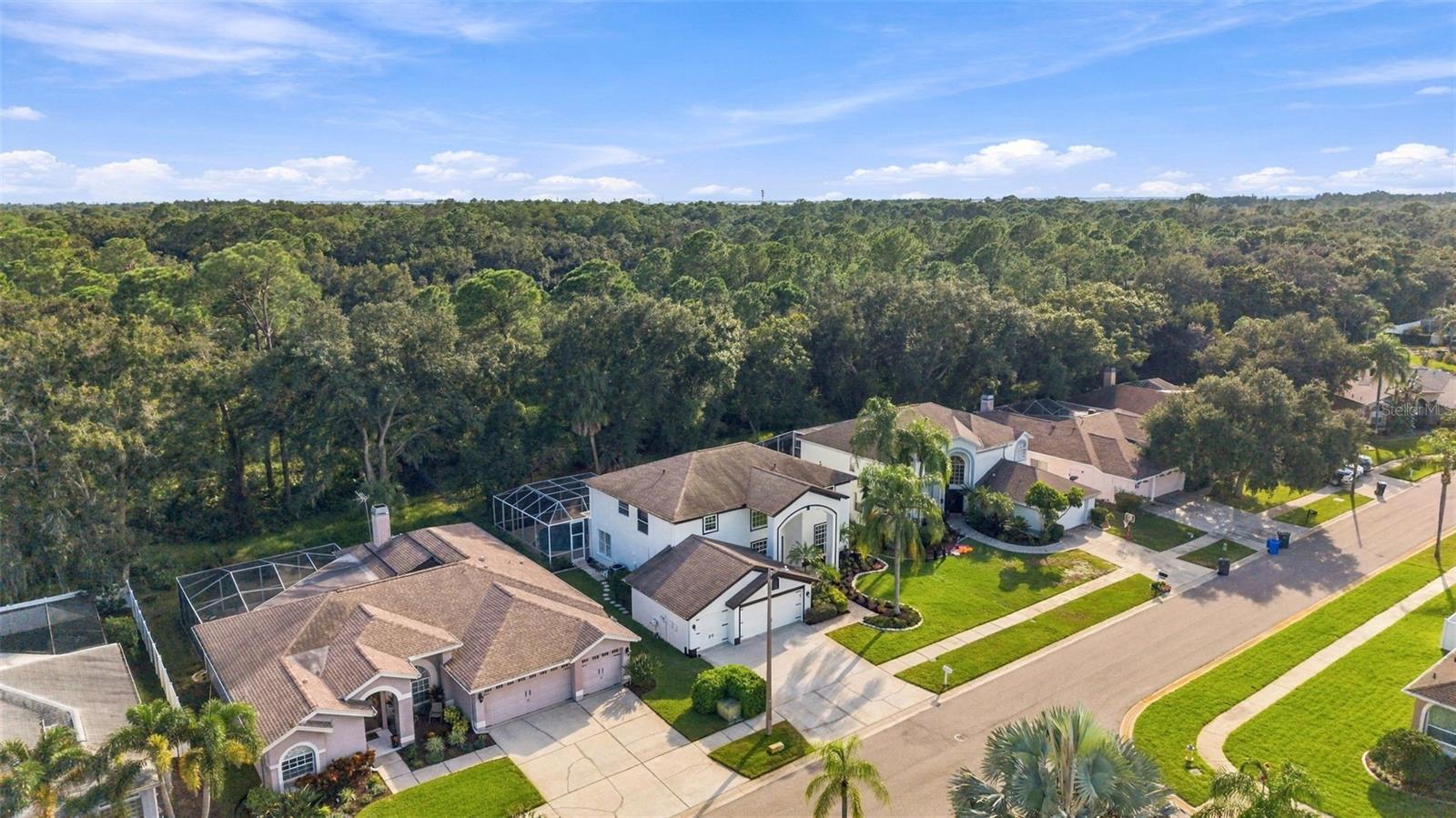 10102 VISTA POINTE DR