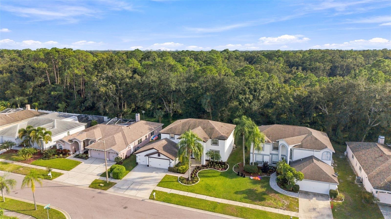 10102 VISTA POINTE DR