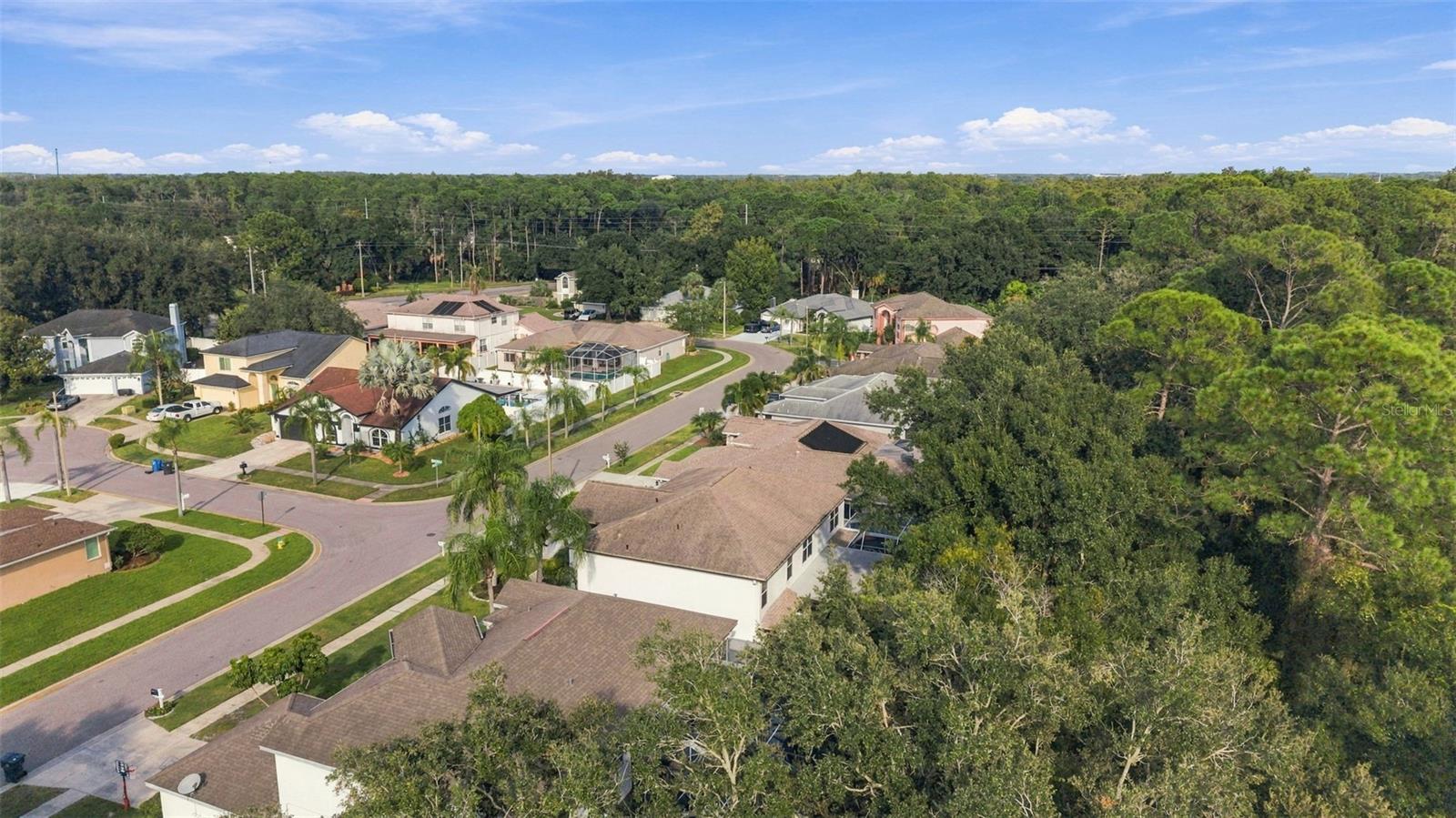 10102 VISTA POINTE DR