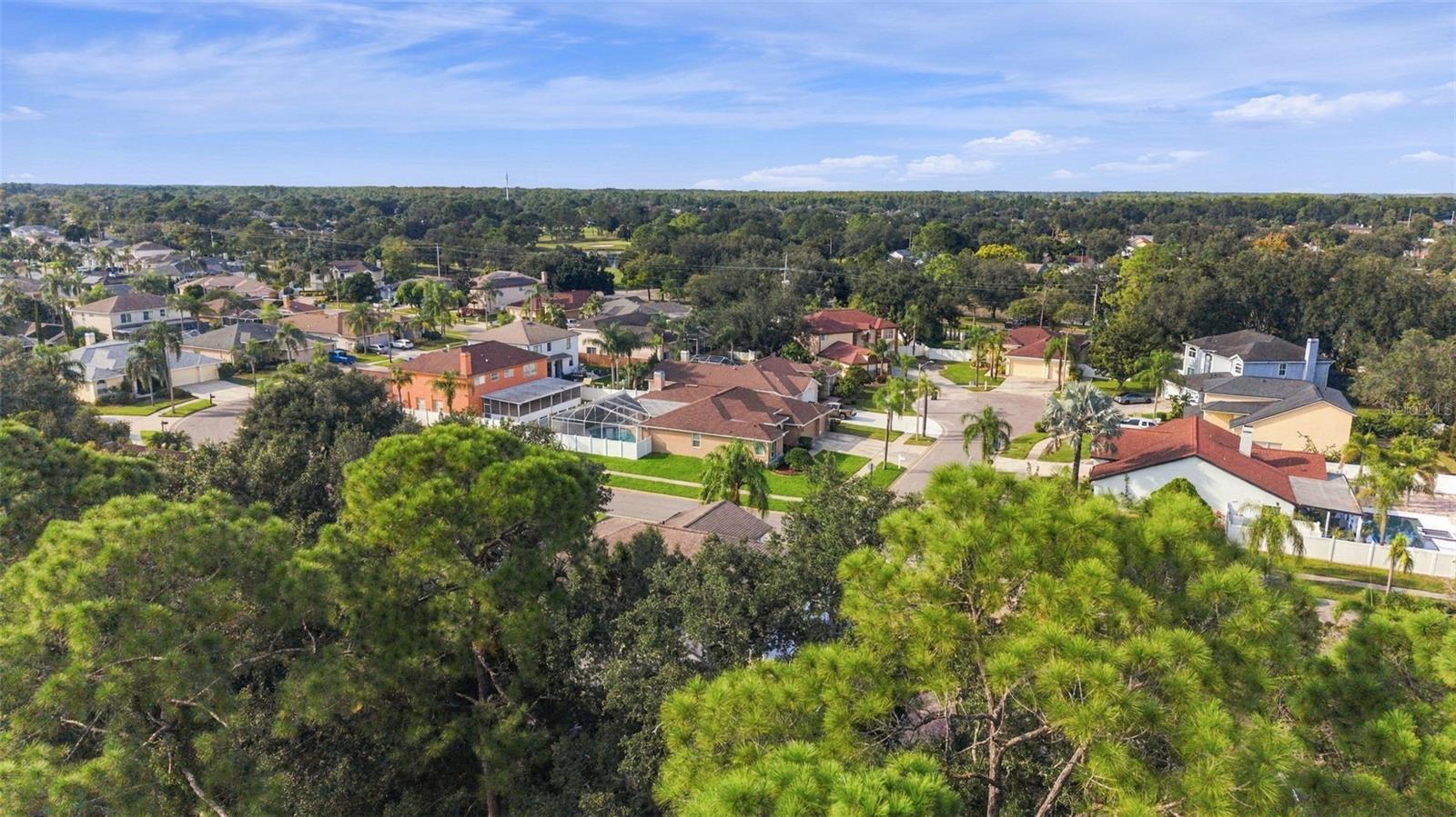 10102 VISTA POINTE DR