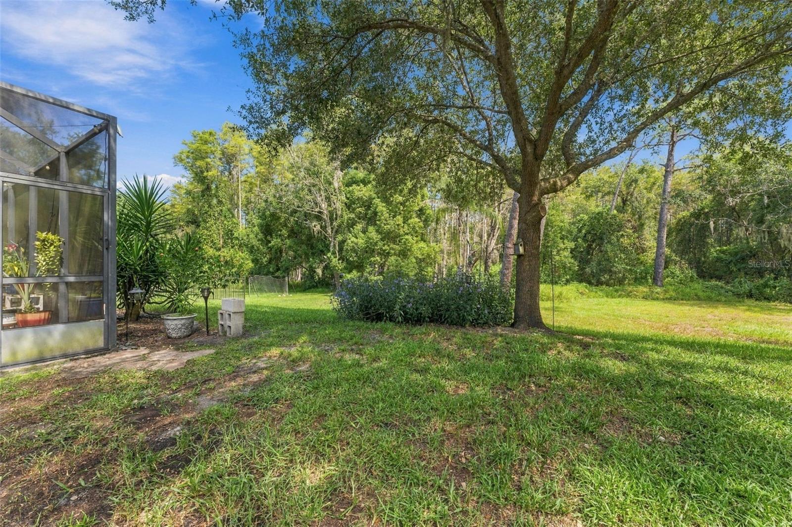 3508 MAJESTIC VIEW DR