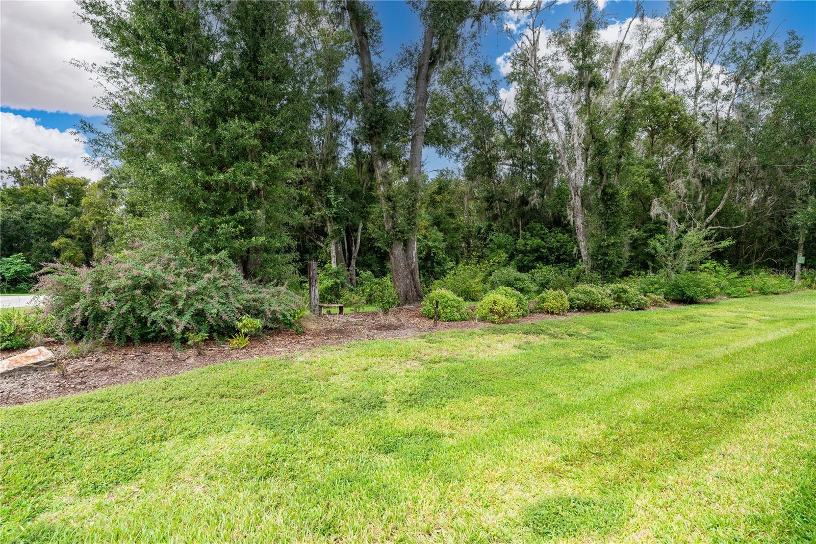 13303 TRAILING MOSS DR