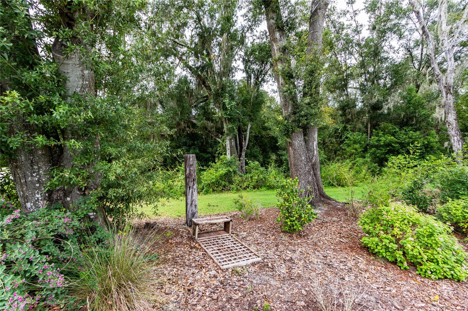 13303 TRAILING MOSS DR