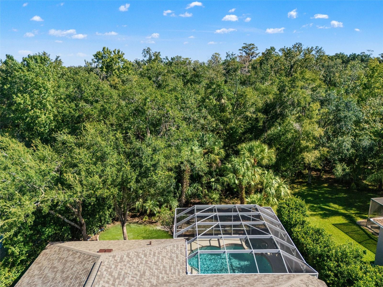 17353 EMERALD CHASE DR