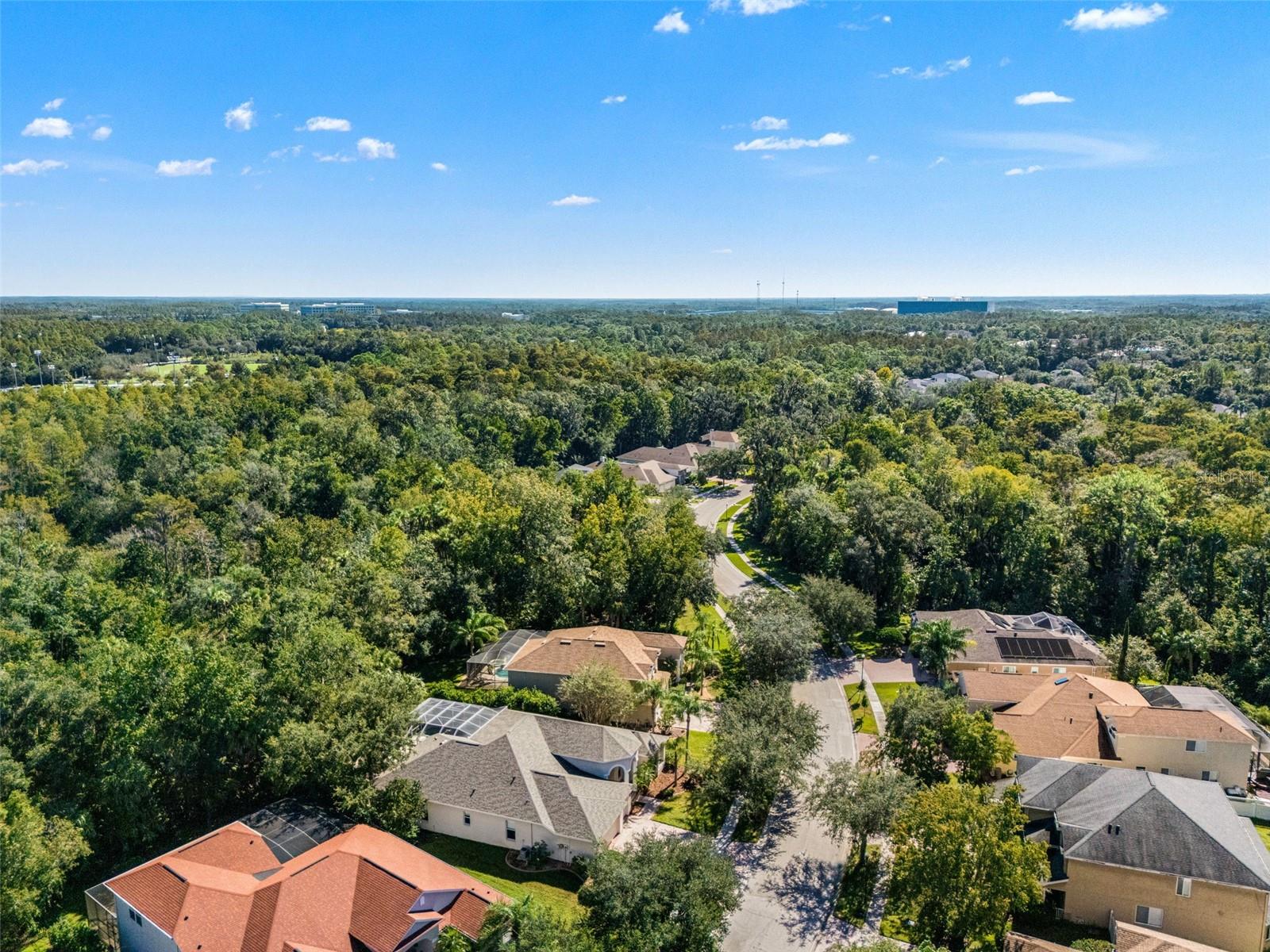 17353 EMERALD CHASE DR