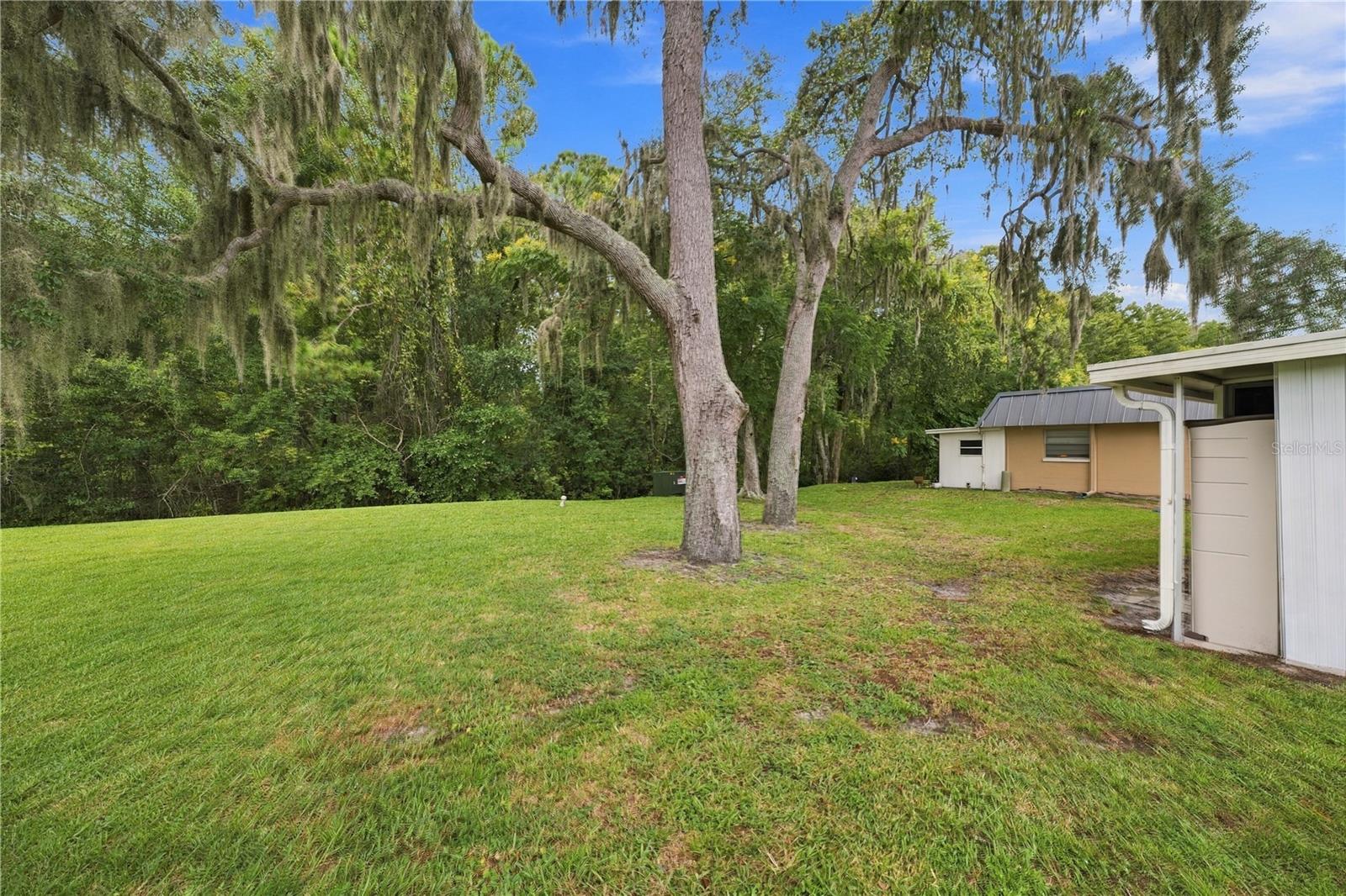 11733 BAYONET LN