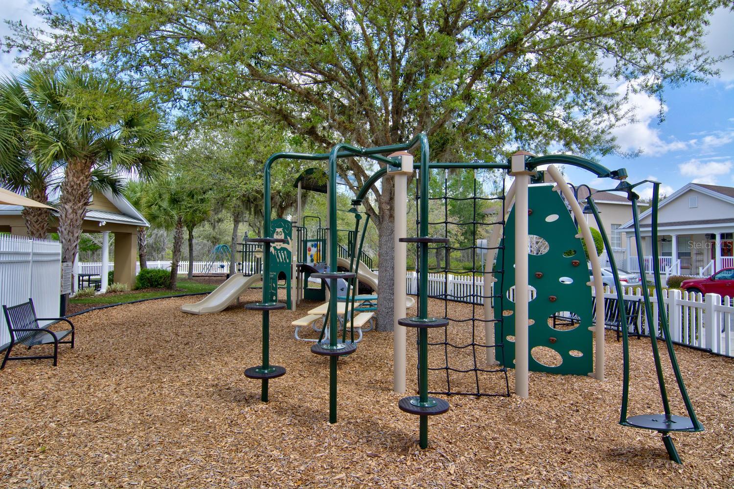 10645 MARSHA DR