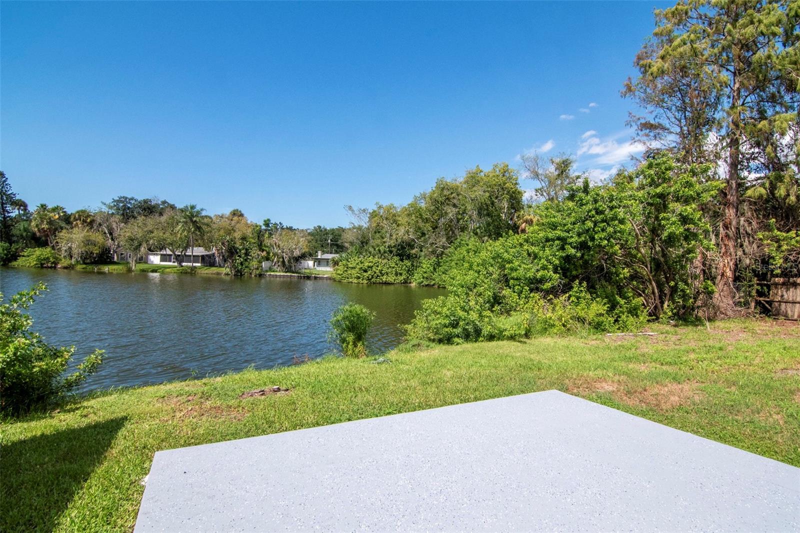 4539 NEEDLE PALM DR