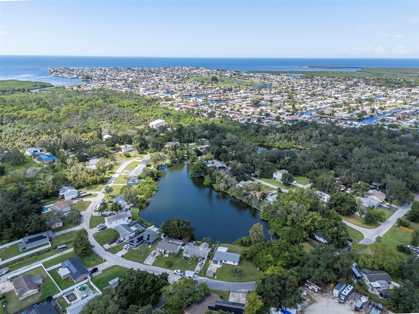4539 NEEDLE PALM DR