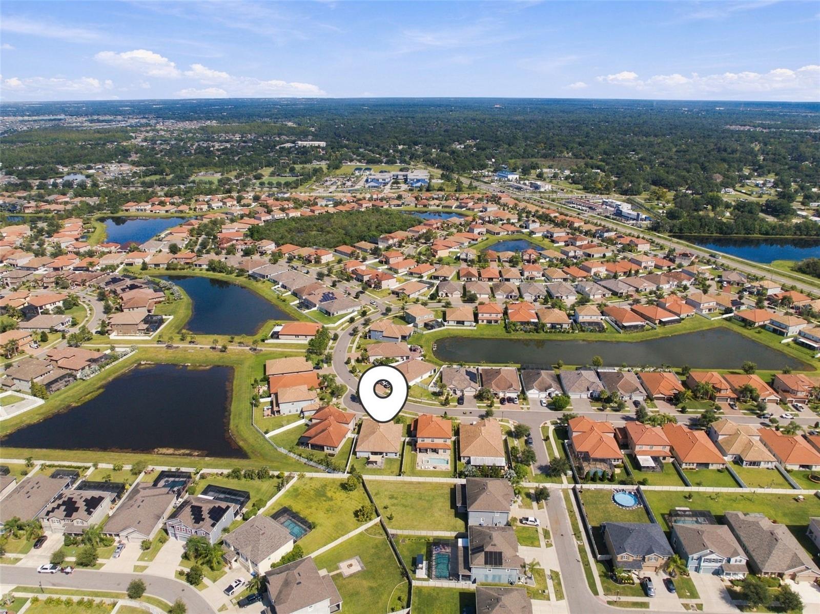 11967 CINNAMON FERN DR