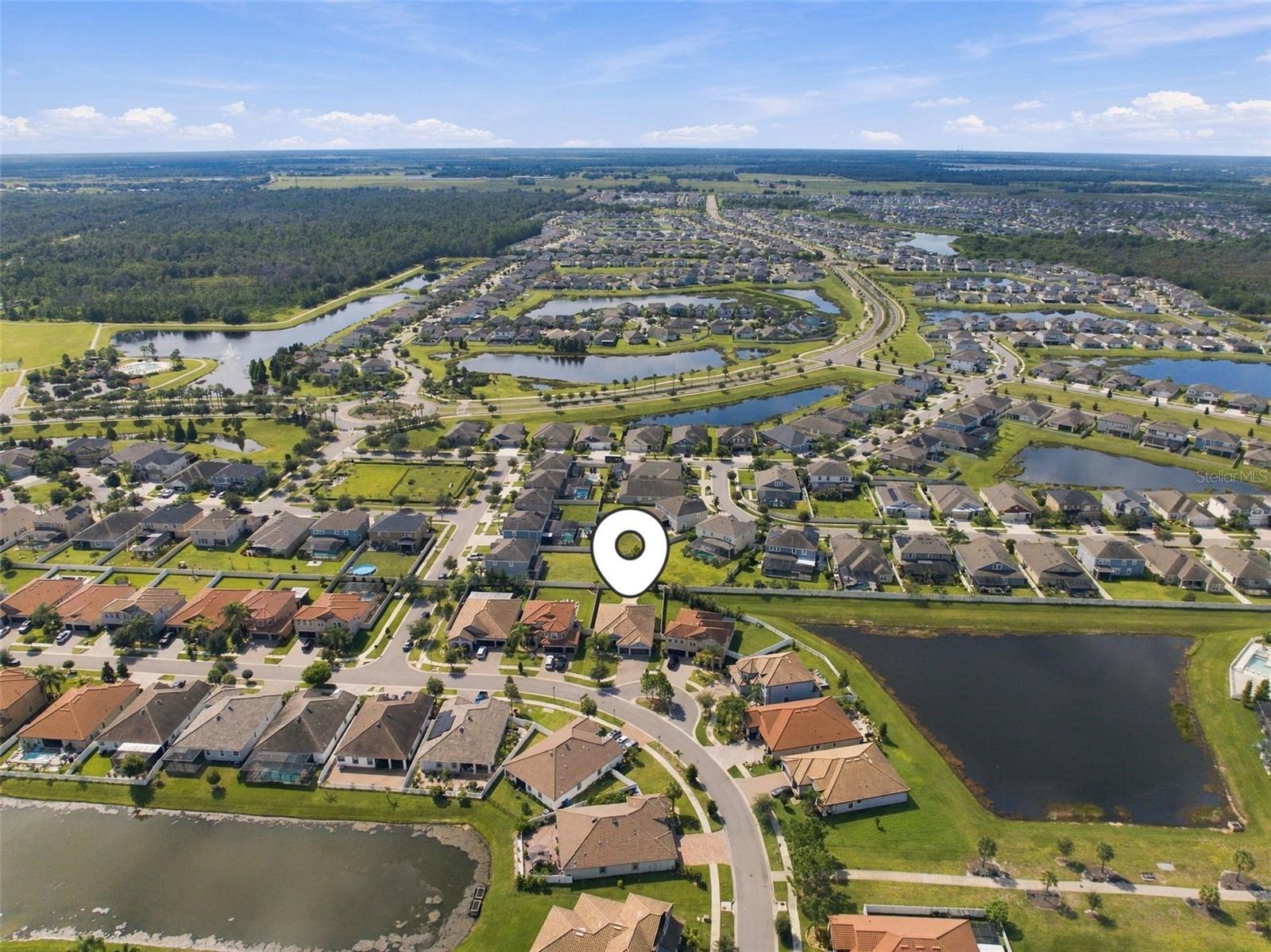 11967 CINNAMON FERN DR