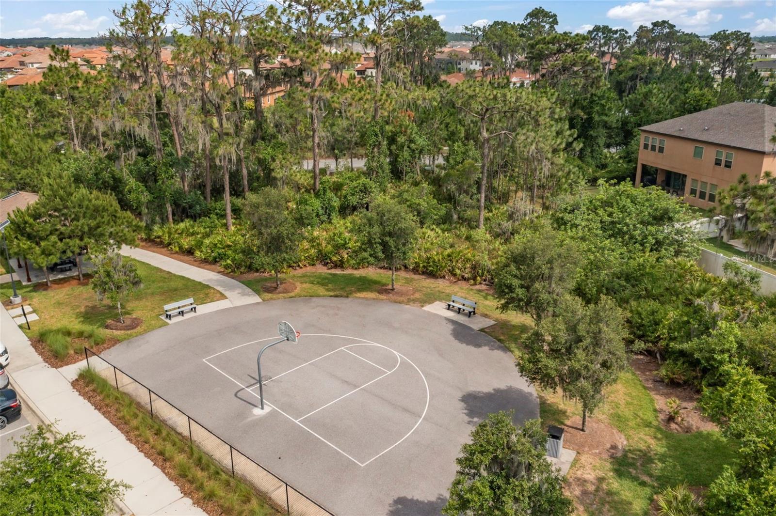 11967 CINNAMON FERN DR