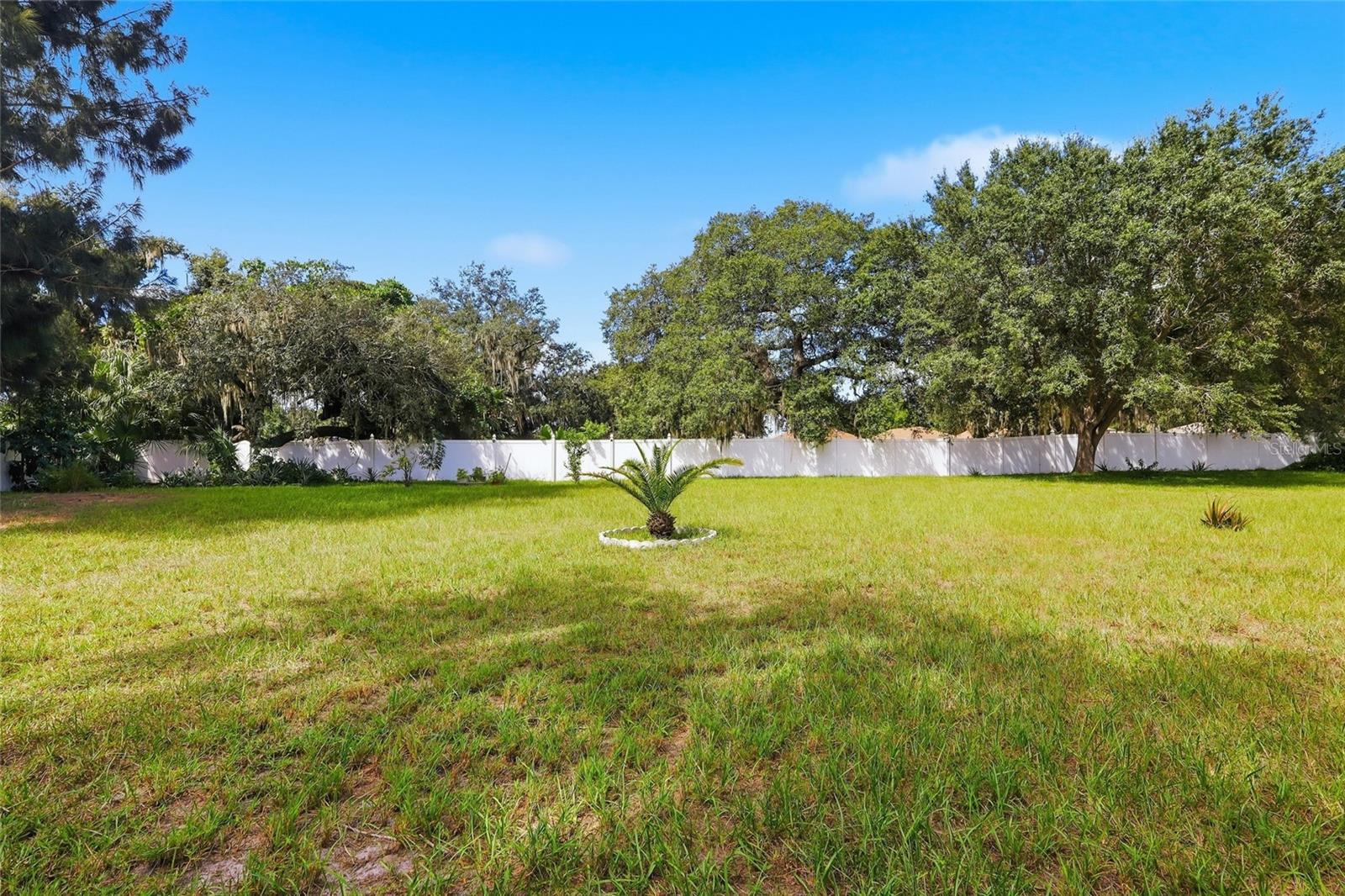 12402 TREE POINTE CT