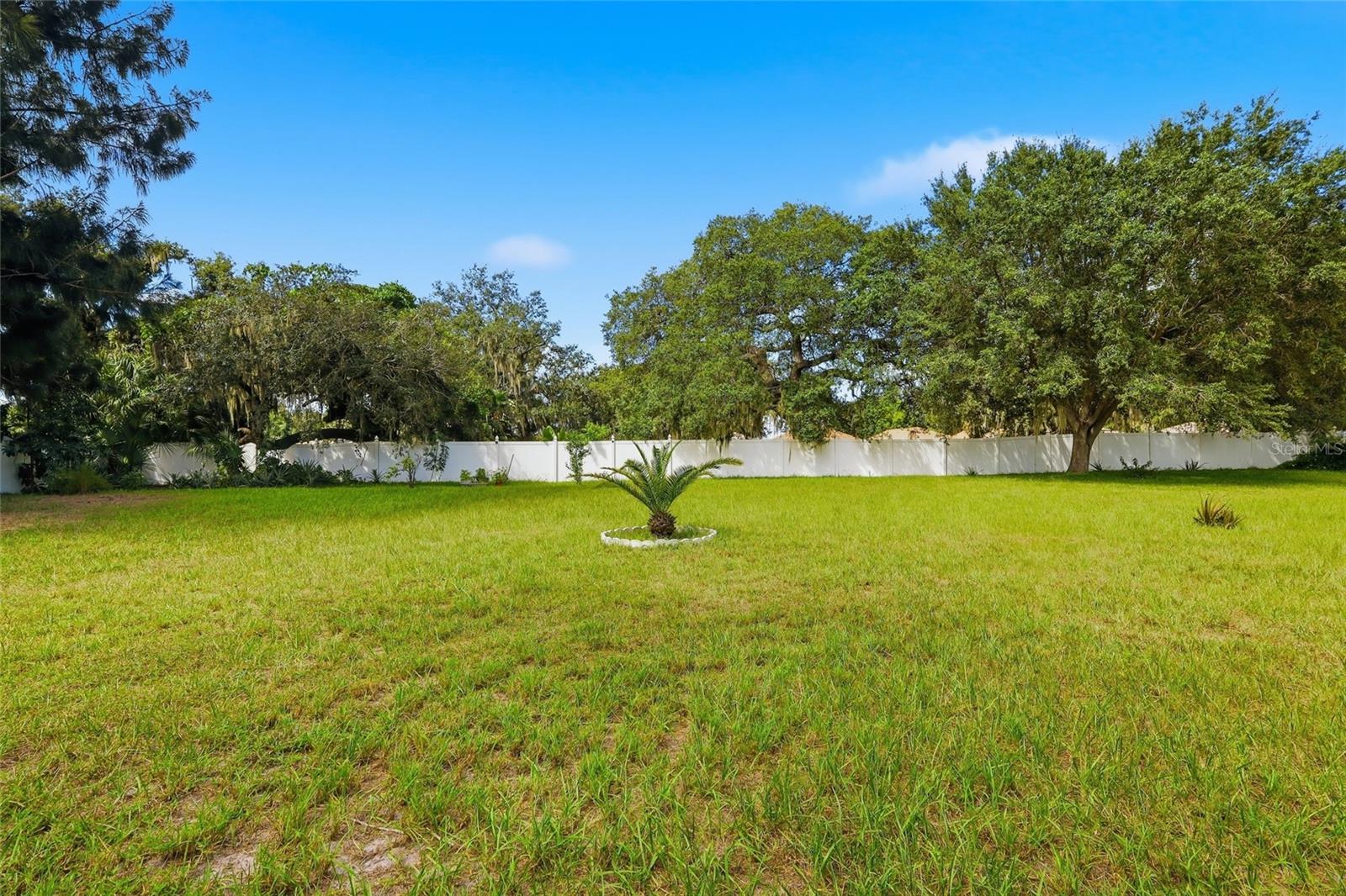 12402 TREE POINTE CT