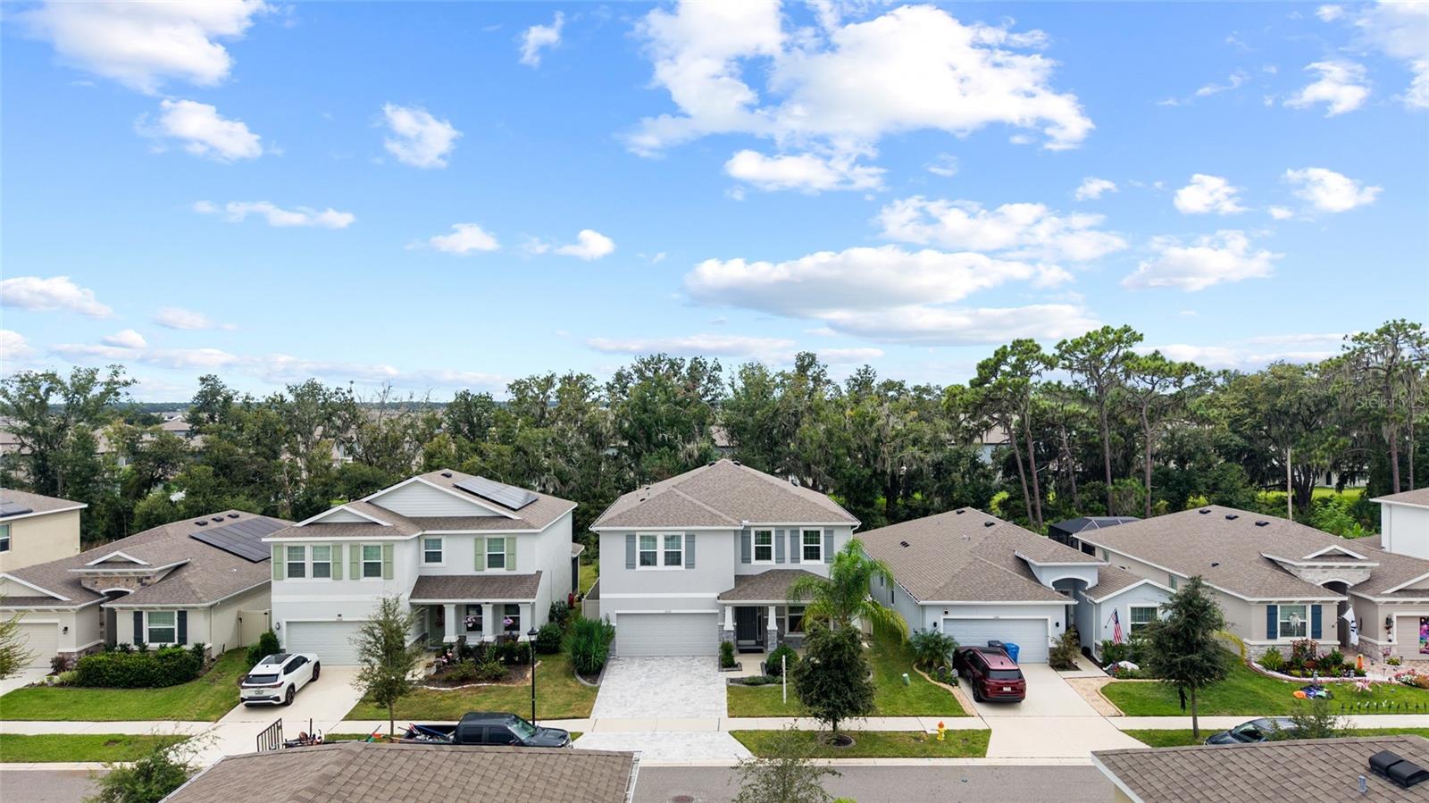 13071 BROOKSIDE MOSS DR