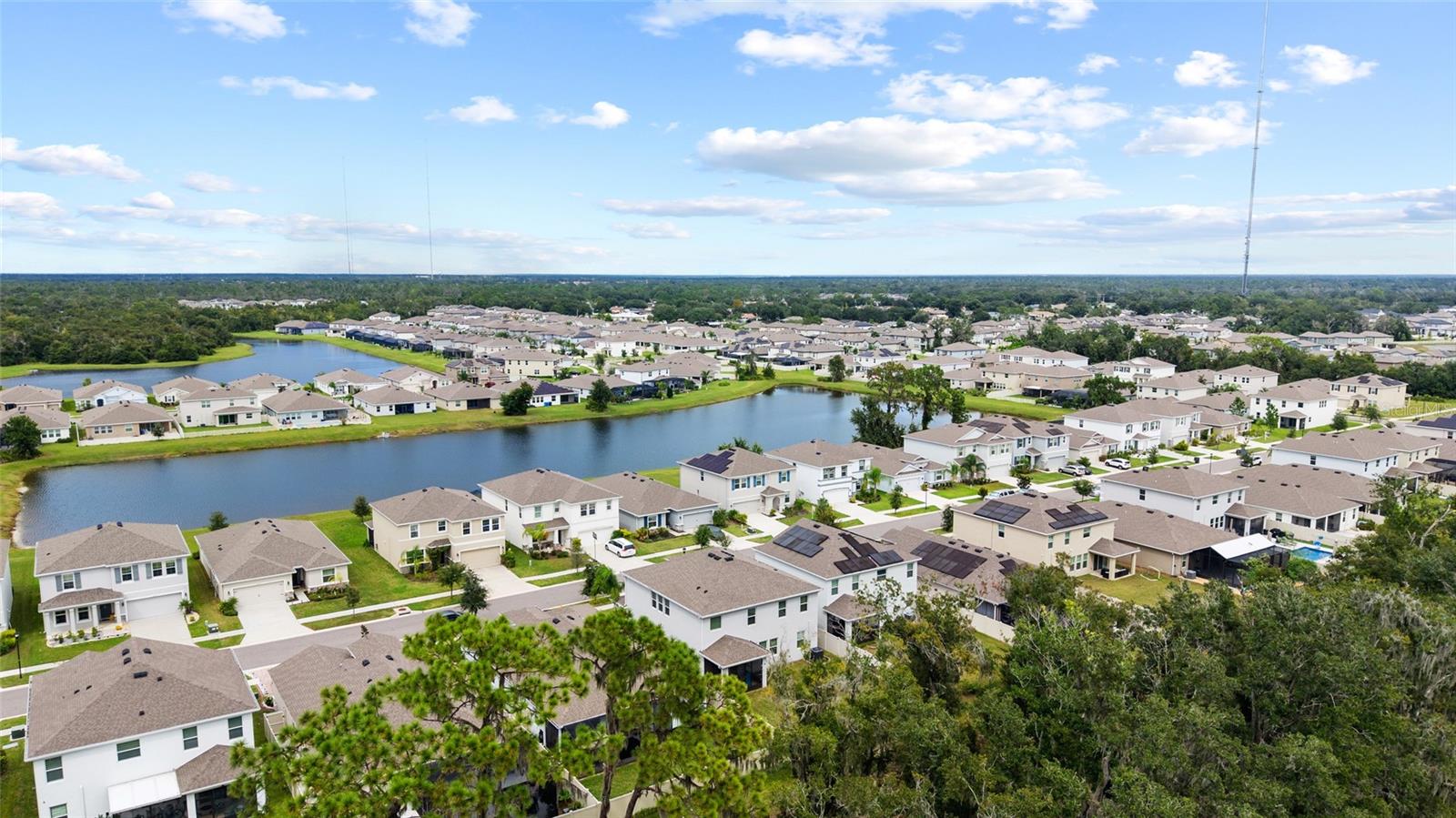 13071 BROOKSIDE MOSS DR