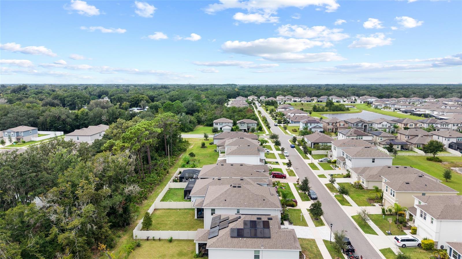 13071 BROOKSIDE MOSS DR