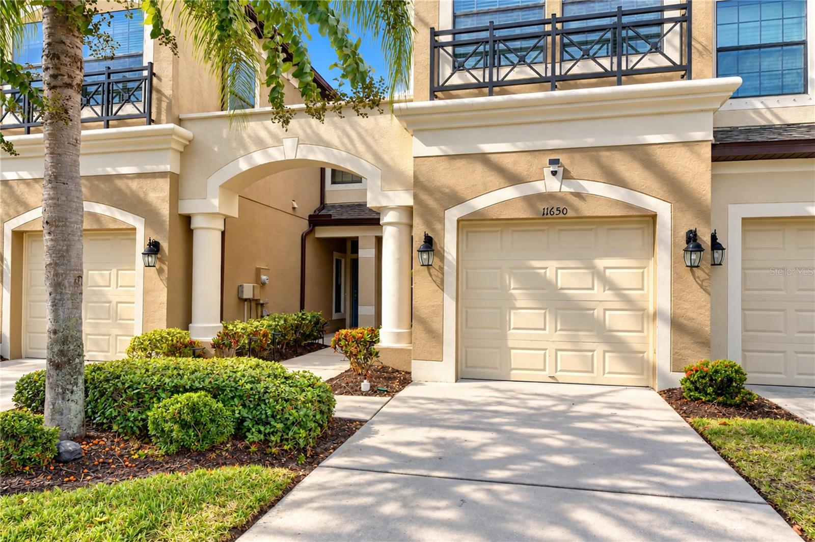 11650 CROWNED SPARROW LN