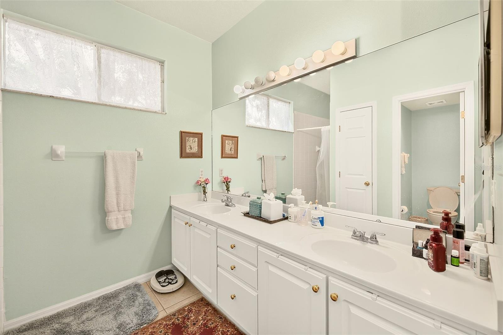 8634 ALEXANDRA ARBOR LN