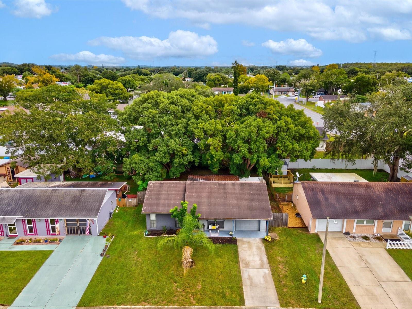 3220 LENWOOD DR