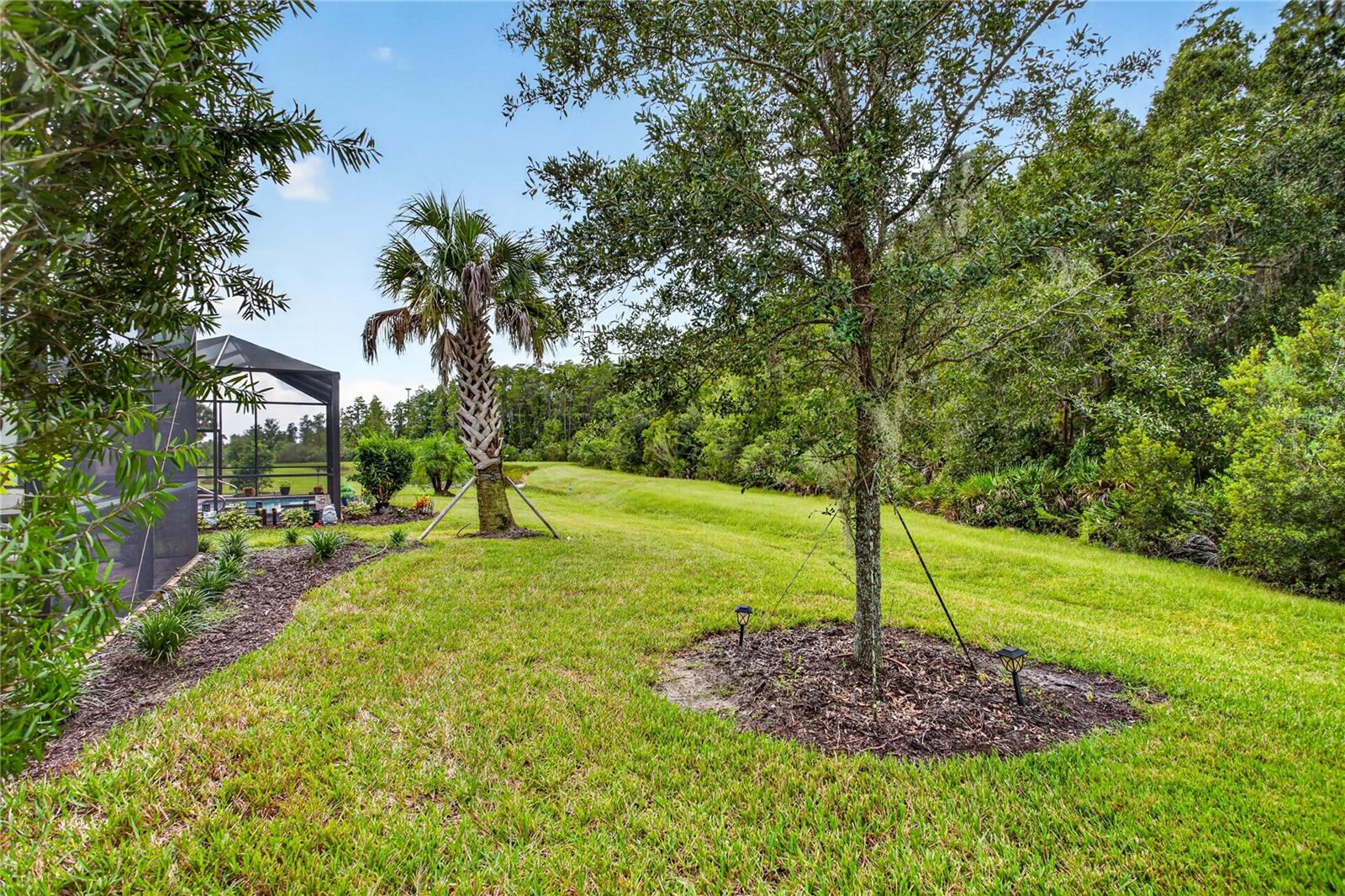 4363 CAIROLI CT