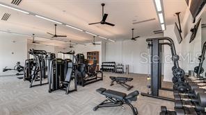 4363 CAIROLI CT