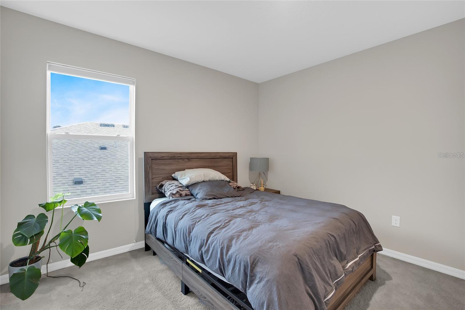 32265 CONCHSHELL SAIL ST