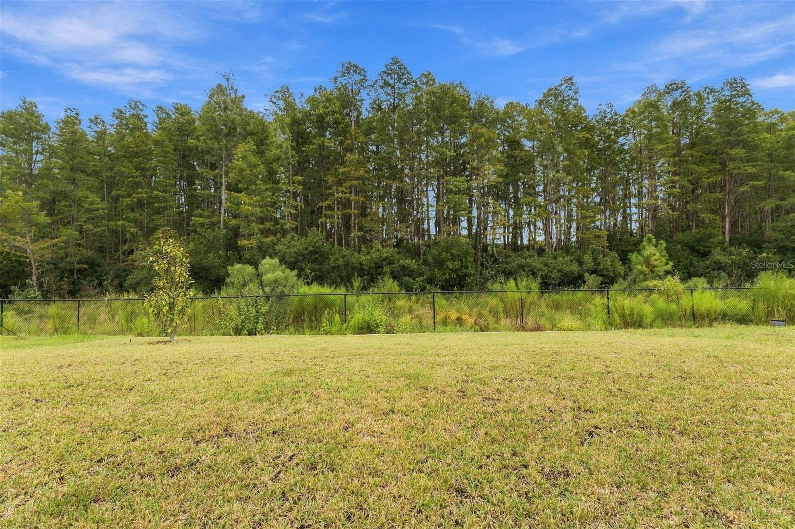 18114 SERENE LAKE LOOP