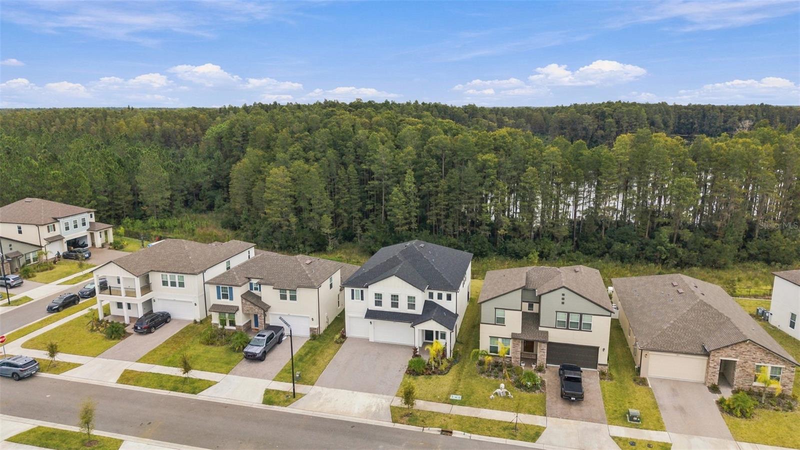 18114 SERENE LAKE LOOP