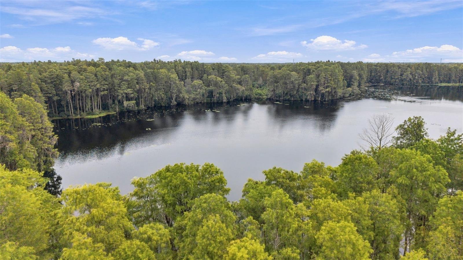 18114 SERENE LAKE LOOP