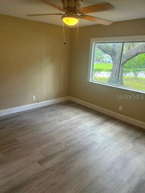 6719 CELESTE LN