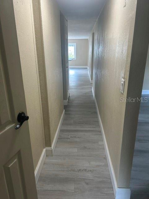 6719 CELESTE LN