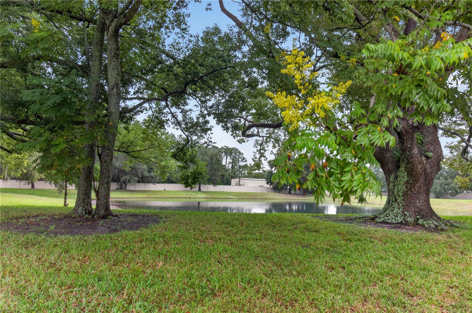6176 CHESHAM DR #8