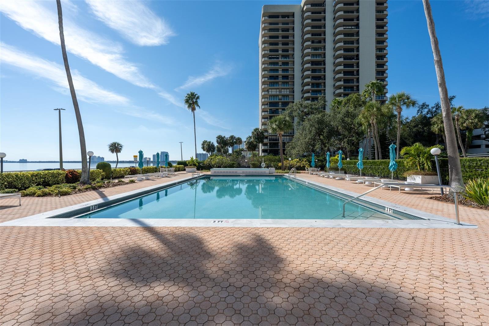 2401 BAYSHORE BLVD #203