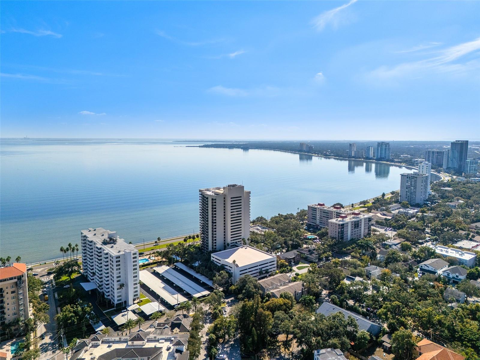 2401 BAYSHORE BLVD #203