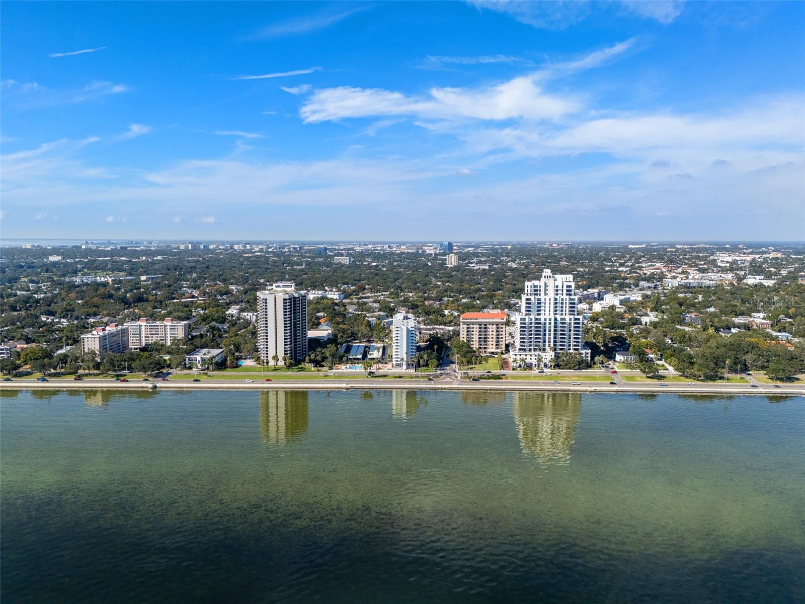 2401 BAYSHORE BLVD #203