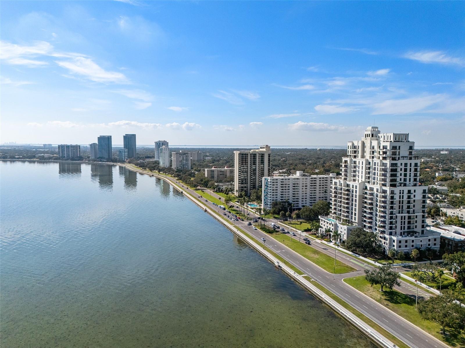 2401 BAYSHORE BLVD #203