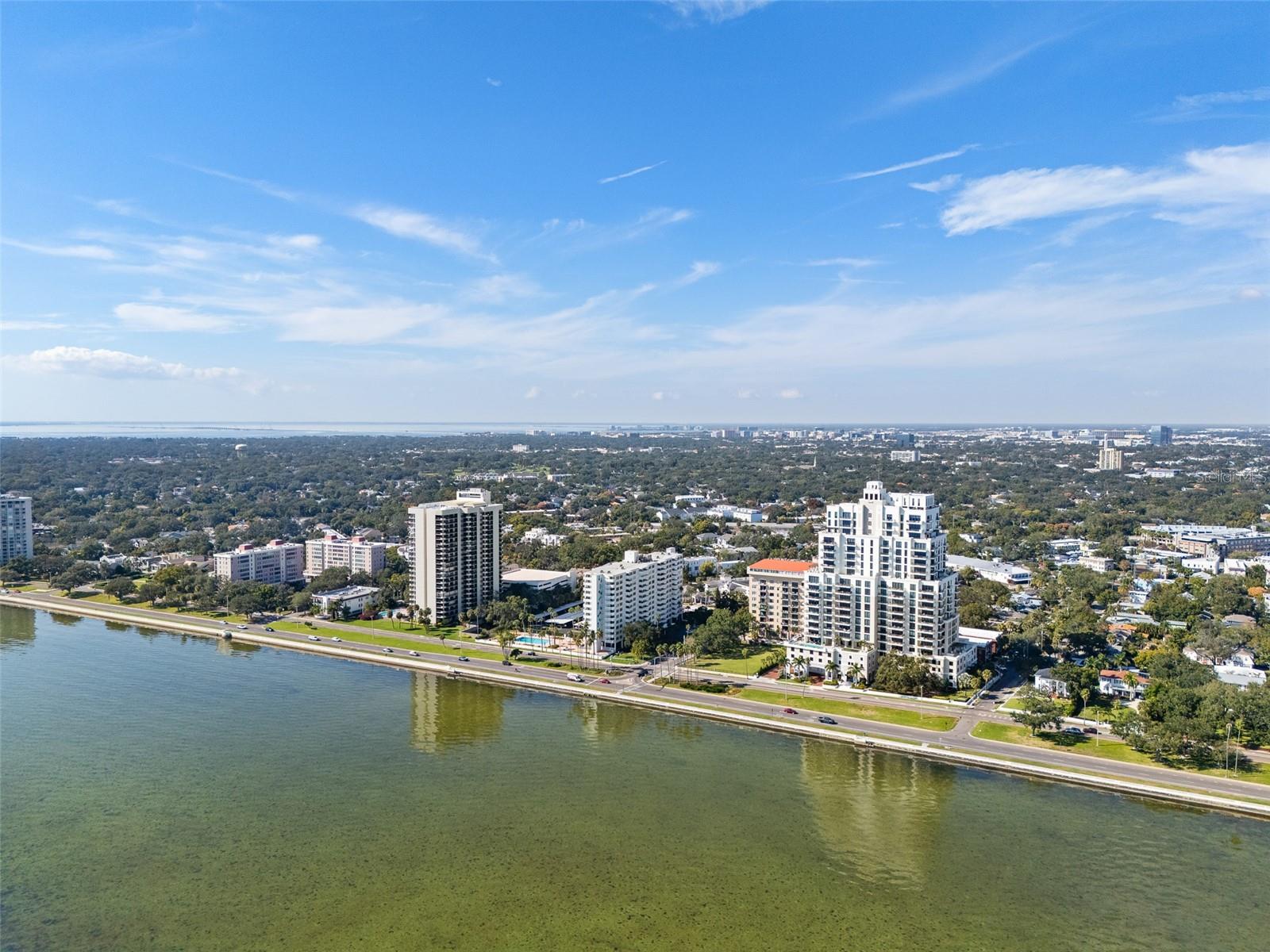 2401 BAYSHORE BLVD #203