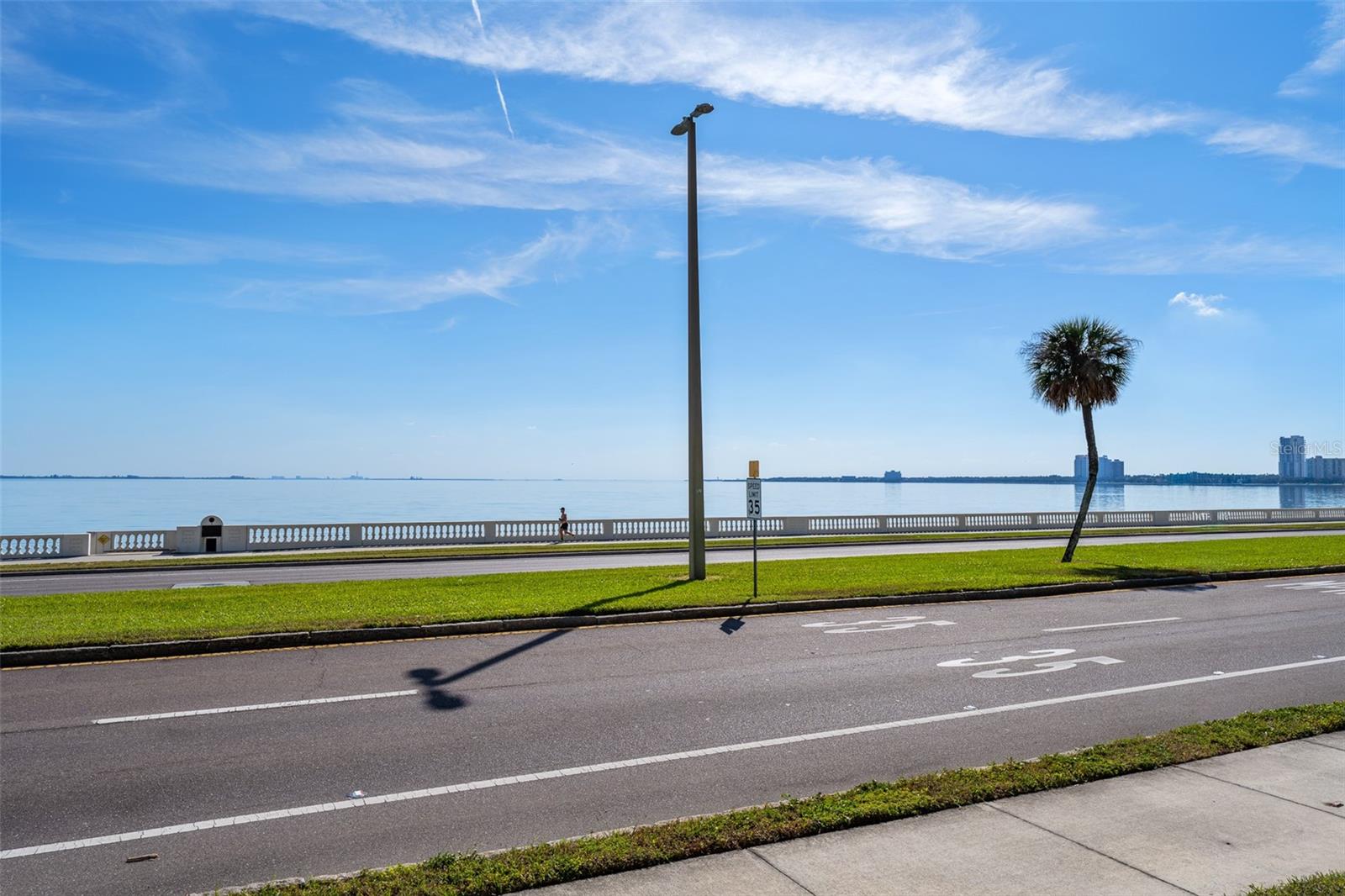 2401 BAYSHORE BLVD #203