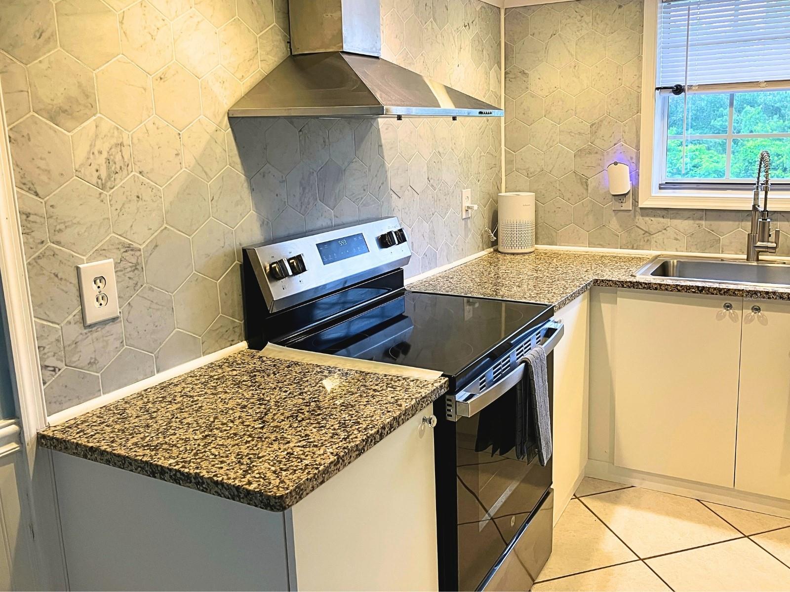 2164 VISTA DEL SOL CIR #523
