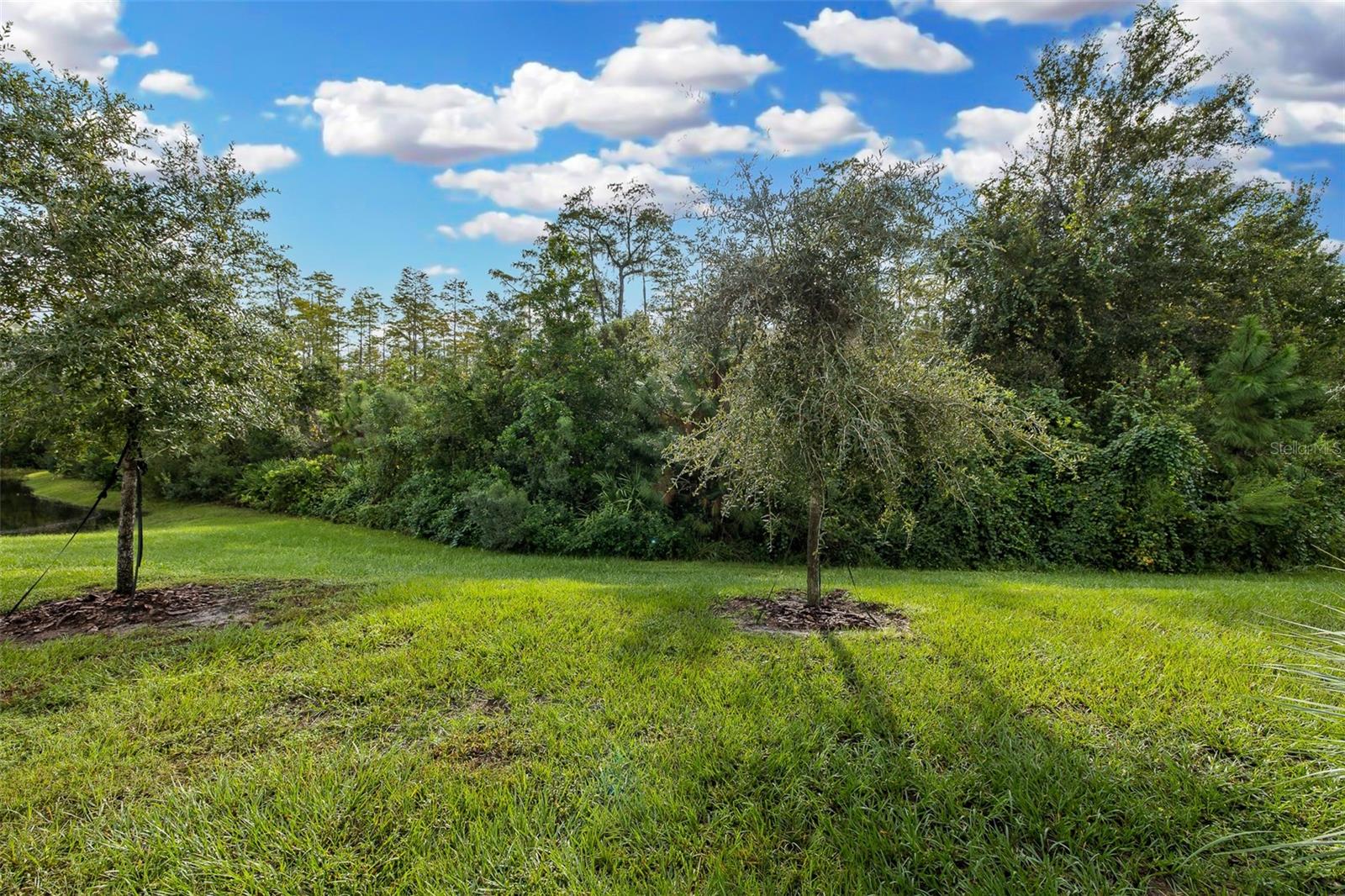 11166 CRESCENT DEER DR
