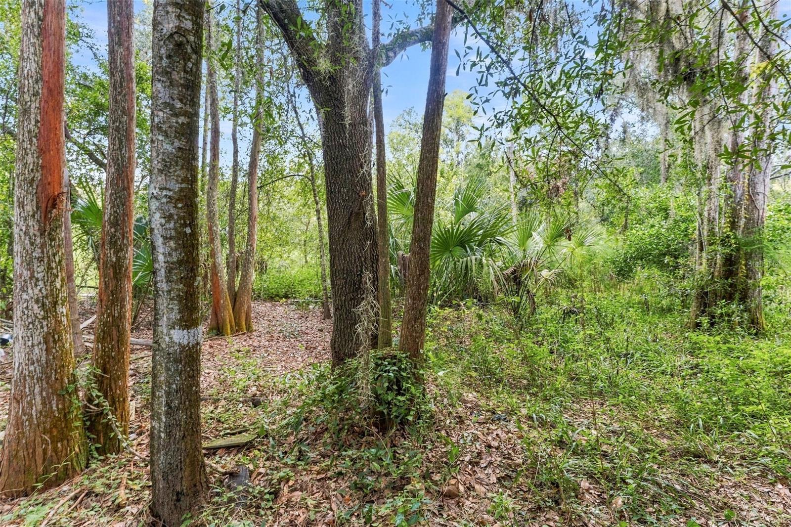 1621 SPINNING WHEEL DR