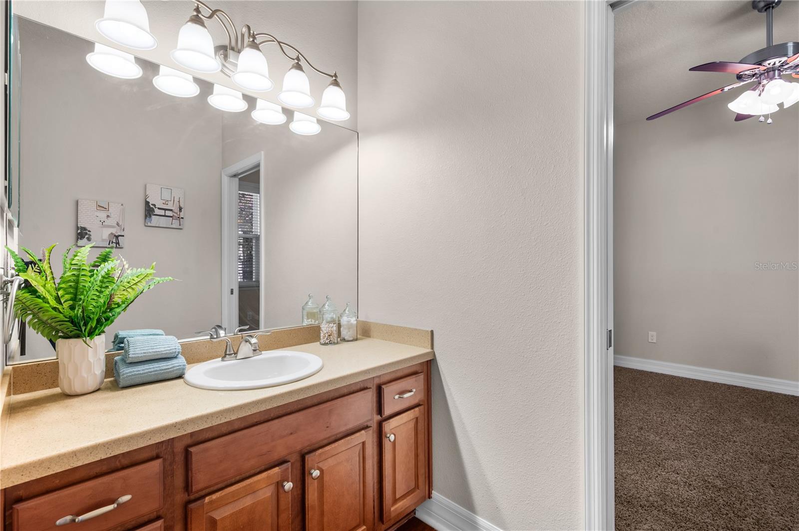 3610 MONTERO CT