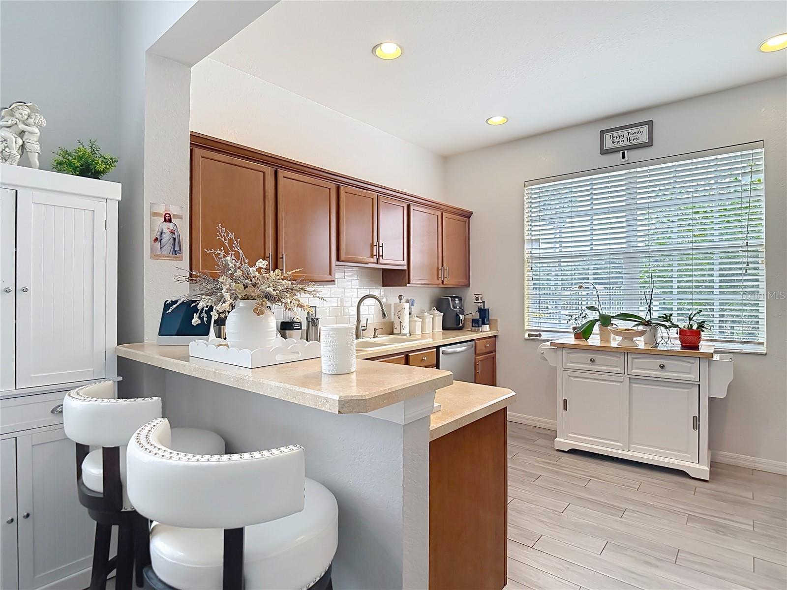 1203 SUMMERGATE DR