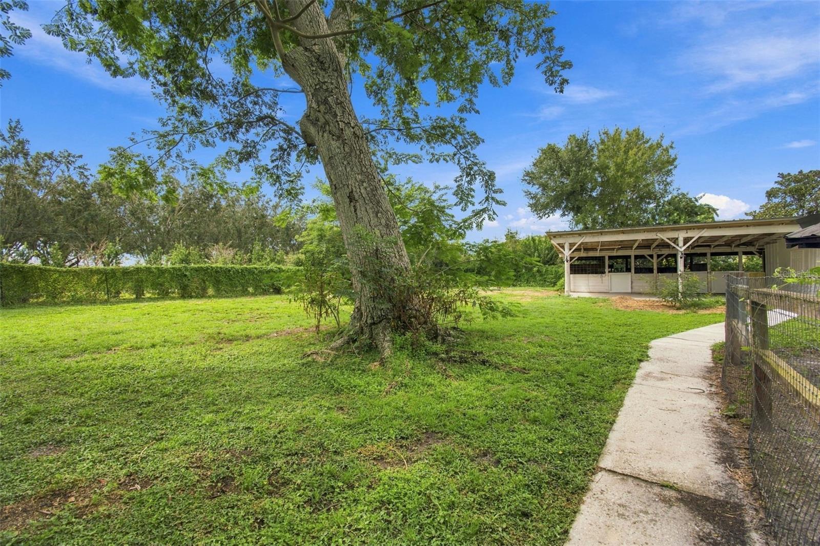 19902 GUNN HWY