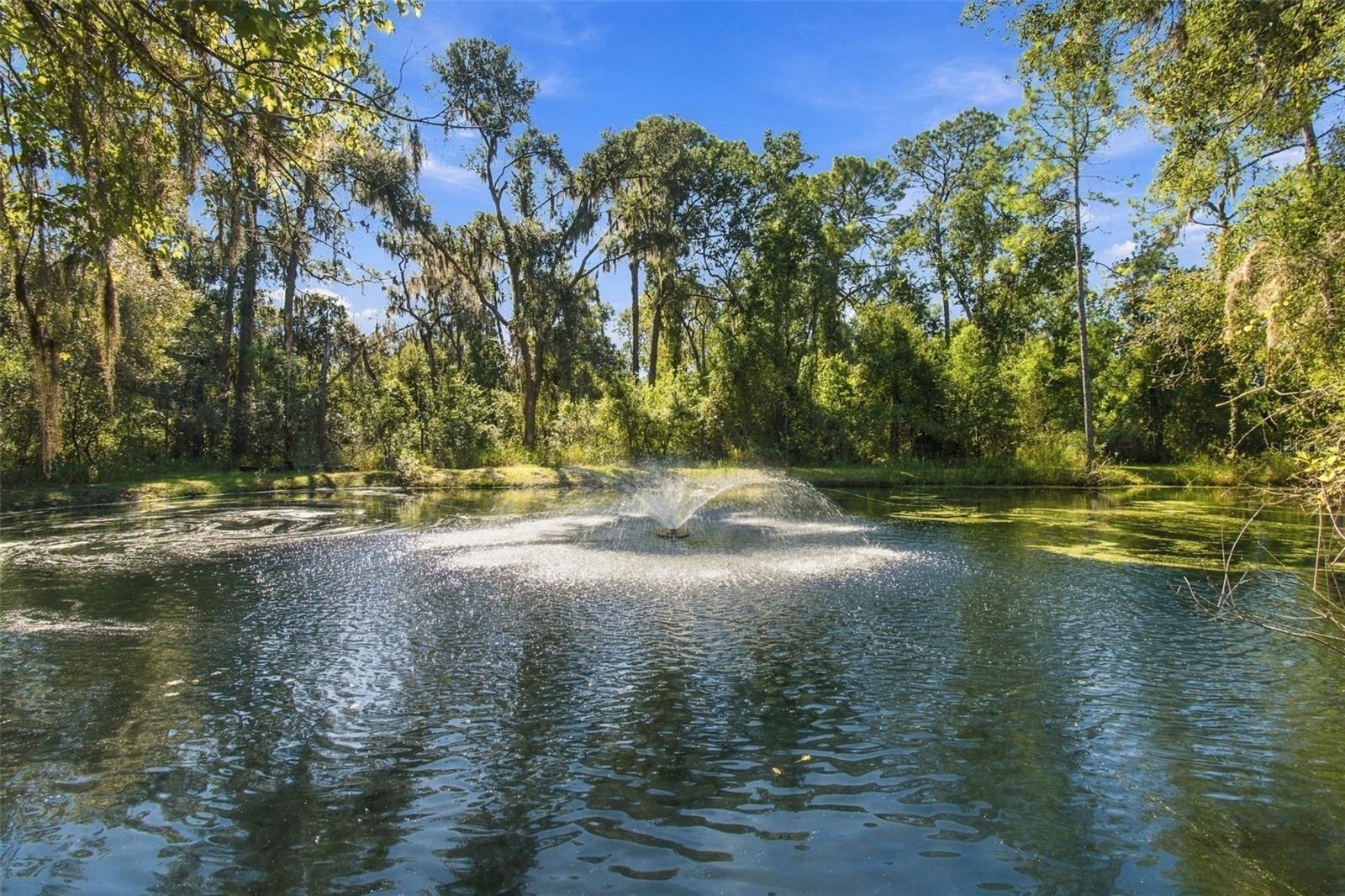 13887 GAVIN RD