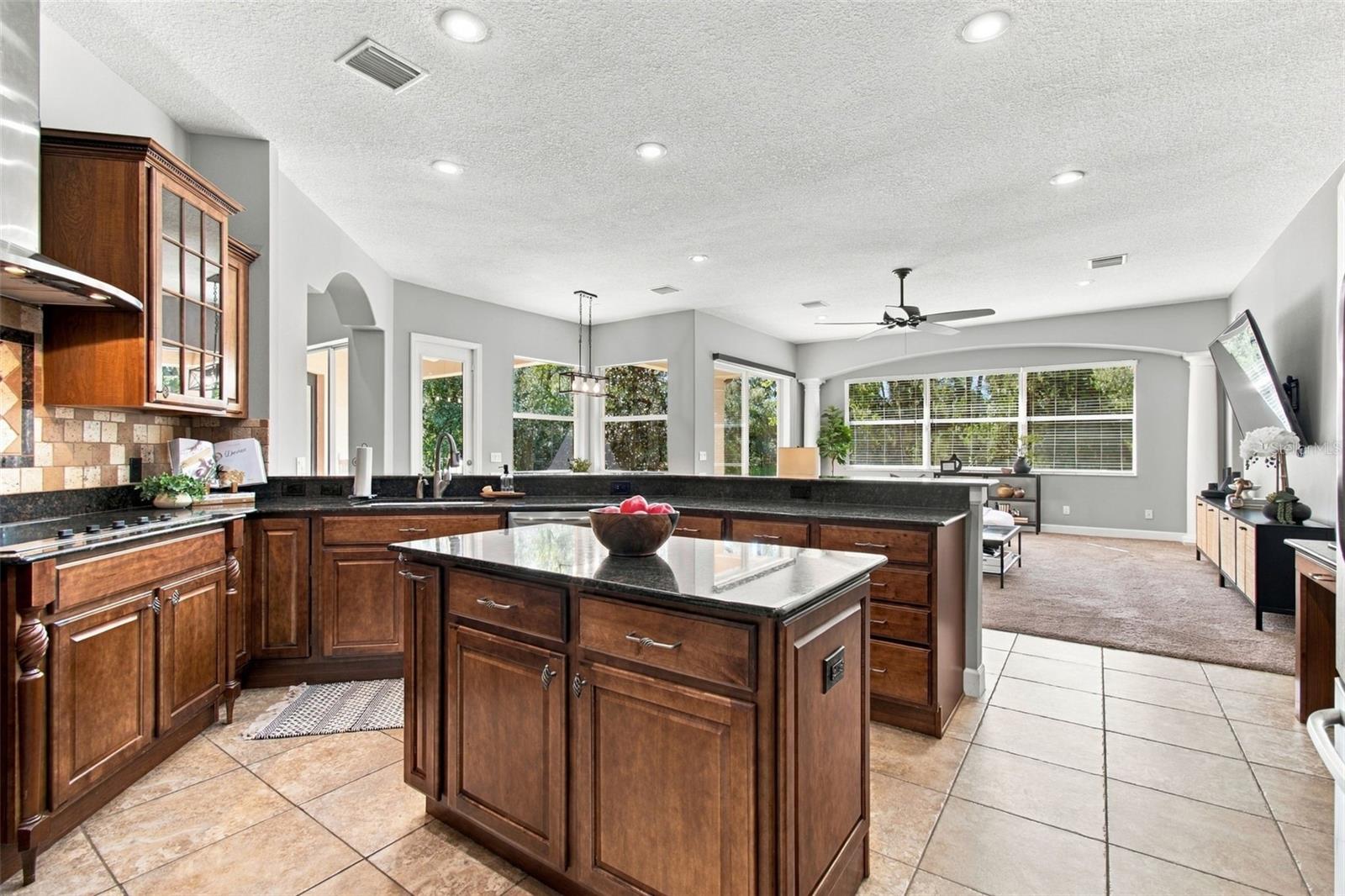13887 GAVIN RD